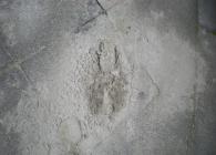 DSCN7950.JPG