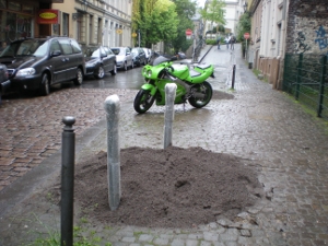 Neue B&auml;ume in der Luisenstra&szlig;e